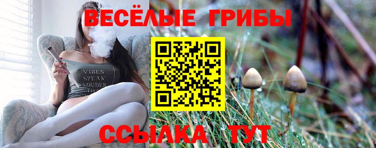 Чехов  Псилоцибиновые грибы ЛСД  Вход с VPN 