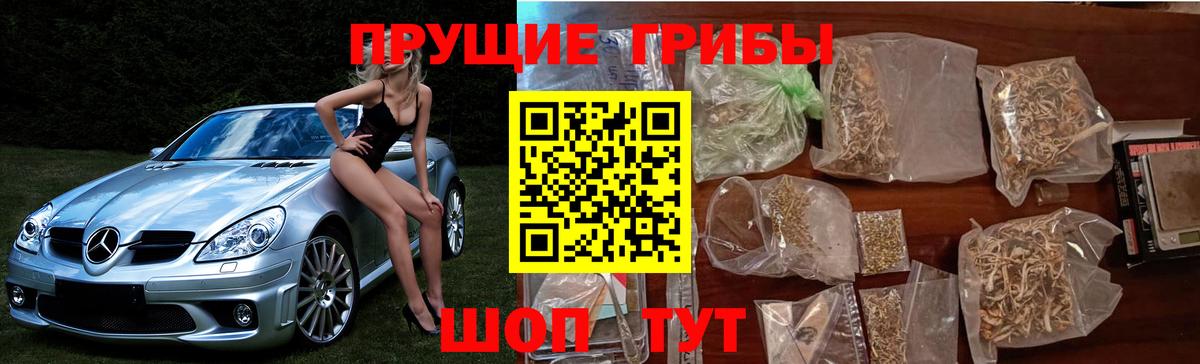 Галлюциногенные грибы мухоморы Чехов